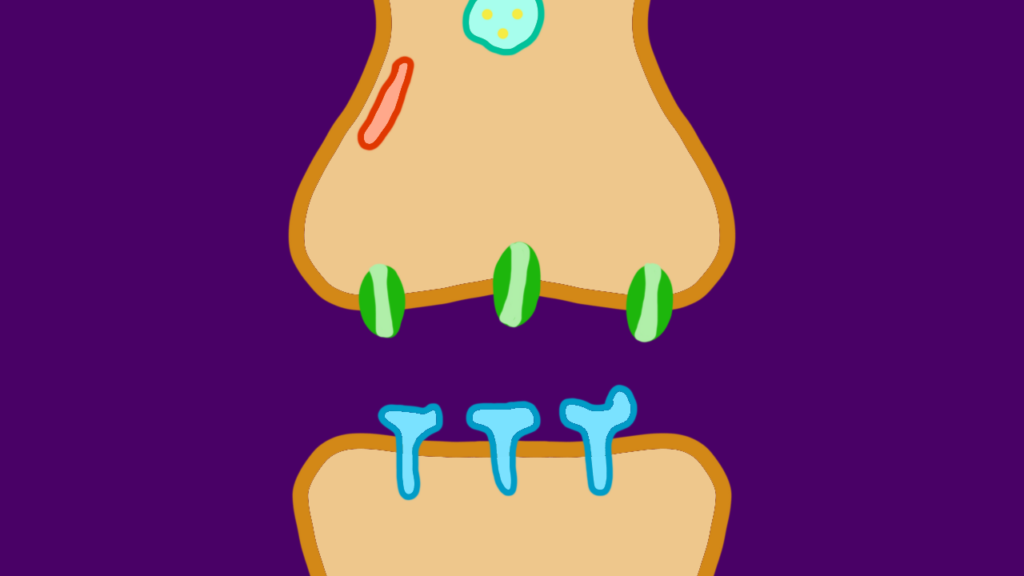 Schematische Darstellung einer Synapse mit Botenstoffen
