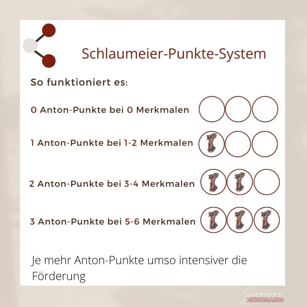 Übersicht Schlaumeier-Punkte-System mit Anton-Punkten